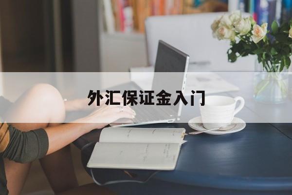 外汇保证金入门(外汇保证金是否合法)