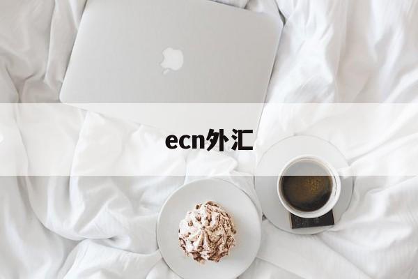 ecn外汇(ecn外汇账户)