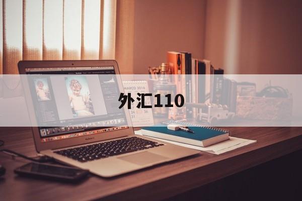 外汇110(外汇110查询外汇平台)