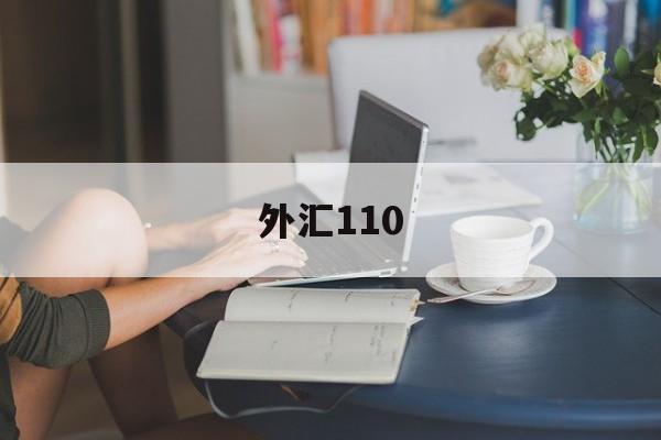 外汇110(外汇110官网)