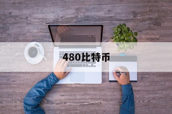 480比特币(比特币44000)